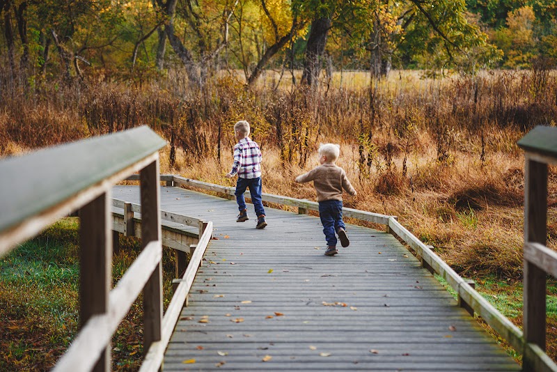 Children together in tall summer grass