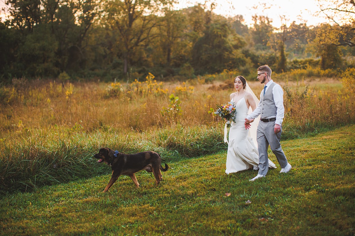 Cujo trotting ahead of Amie and Cody as they walk hand in hand through the golden meadow at Zigbone Farm Retreat