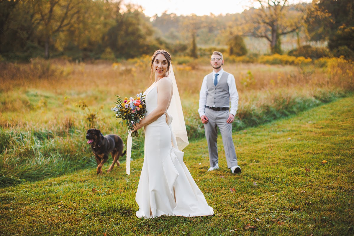 Amie glancing back with her bouquet in the golden meadow while Cody and Cujo wait behind her in the evening light
