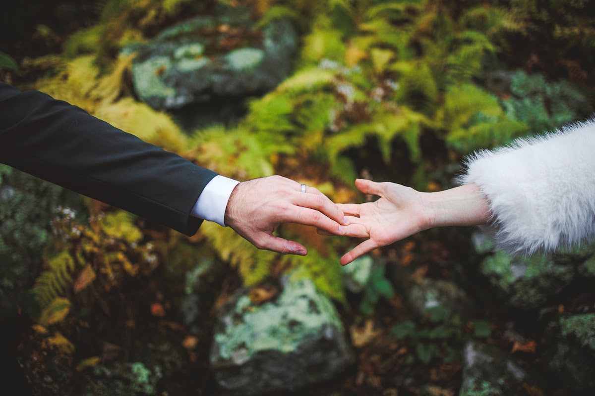 Two hands reaching toward each other above moss and ferns, his wedding band showing