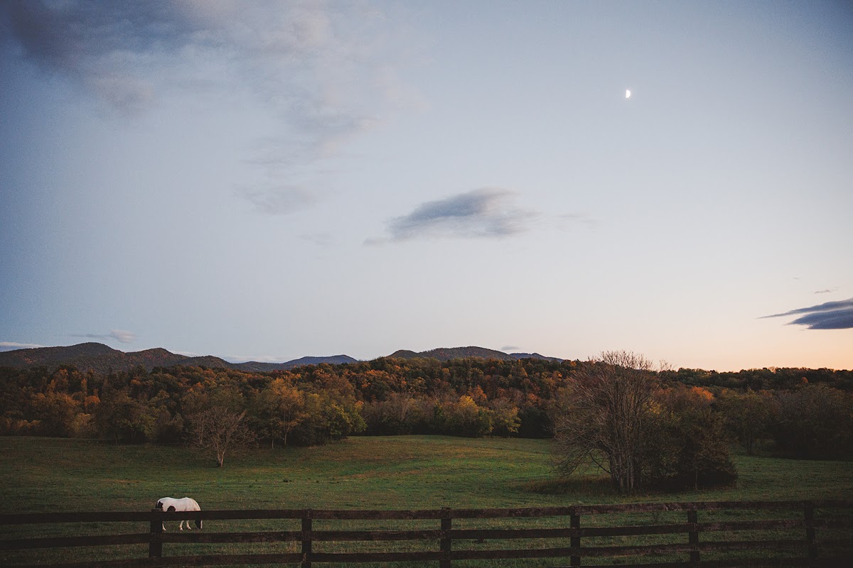 A white horse grazing near the fence line at River's Bend Ranch at dusk, rolling hills and a small moon in the pastel evening sky