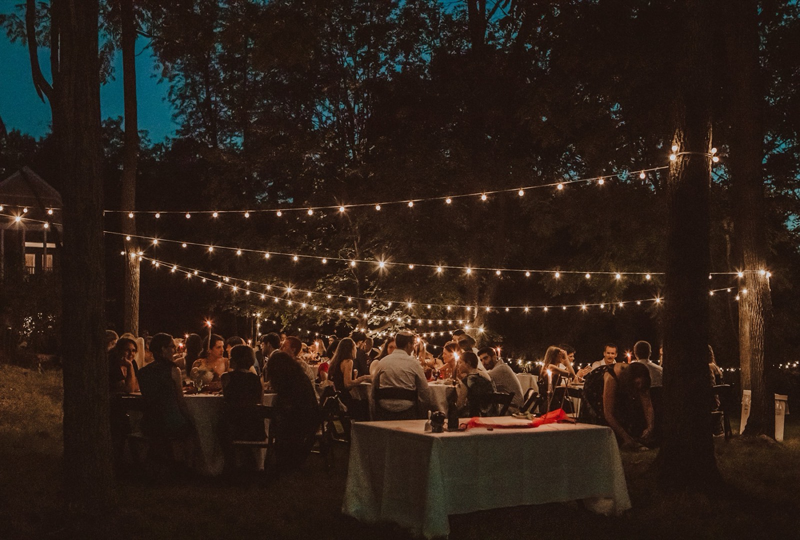 Maya and Ben's backyard reception under strings of cafe lights after dark