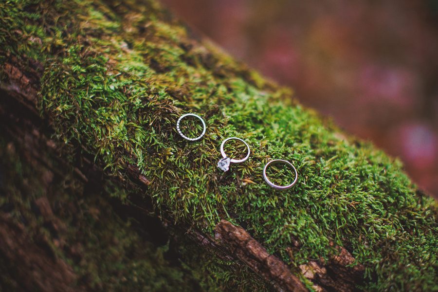 Three rings arranged on a bright green mossy log in the woods