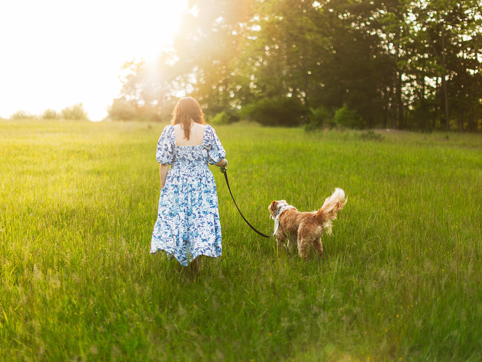 A woman in a blue floral dress walking away through a wide green meadow with her dog on a leash, the low sun flaring through the treeline ahead